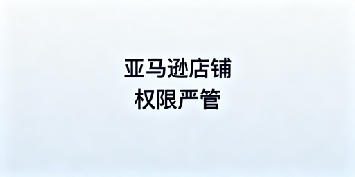 亚马逊店铺多人管理权限分配及安全防护指南