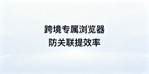飞跨跨境电商浏览器 防关联提效保障账号安全