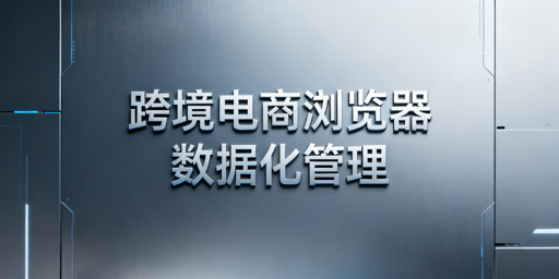 飞跨浏览器：企业级跨境电商数据化管理首选工具