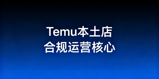 国内远程运营Temu海外本土店底层环境搭建指南