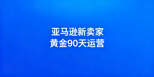 《亚马逊新卖家黄金90天运营全攻略》
