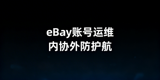 团队eBay账号长期安全运营:协作规范、防关联及工具推荐