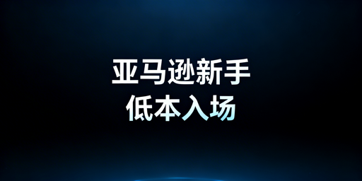 亚马逊新手低预算开店全流程操作指南