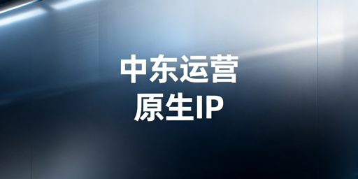 中东跨境运营：IP选型、获取与合规使用指南
