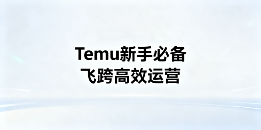 Temu新手必备运营工具清单及飞跨浏览器推荐