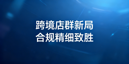 2026年跨境电商店群：合规精细化运营全攻略