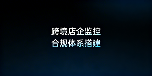 跨境电商店铺员工操作监控合规体系搭建指南