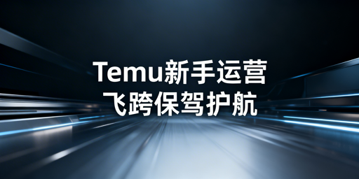 Temu新手运营工具全指南：飞跨浏览器助力高效运营