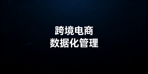 跨境电商数据化管理落地 飞跨浏览器助力降险提效