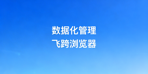 飞跨浏览器：企业级跨境电商数据化管理核心利器