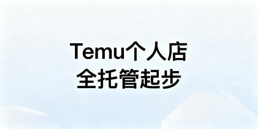 Temu个人新手起步全攻略:资质资金运营一站式解析