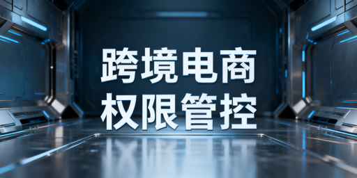 《跨境电商团队权限分配实操指南》