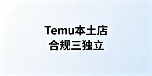 Temu海外本土店合规运营：网络设备注册与风控指南