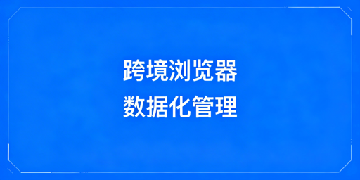 企业级跨境电商浏览器数据化管理：价值与选型
