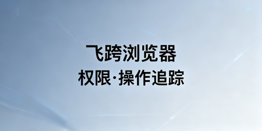飞跨浏览器：跨境电商多账号权限管控与安全运营