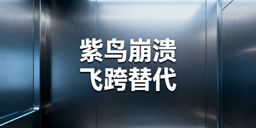紫鸟浏览器崩溃？跨境电商浏览器应急及长期推荐（飞跨优先）