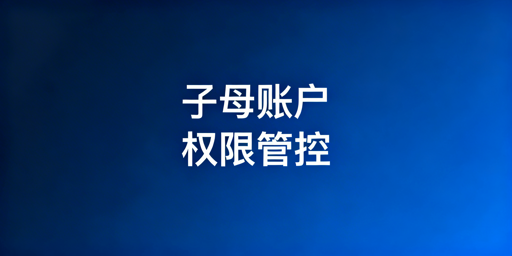 2026跨境商家子母账户权限配置指南