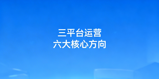 亚马逊+Temu+Shopee三平台跨境电商运营落地全指南