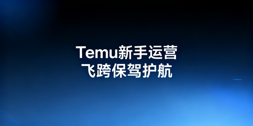Temu新手卖家必备运营工具：飞跨浏览器首选
