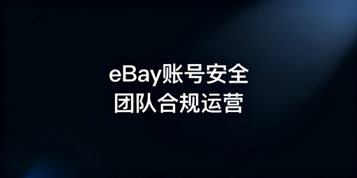 团队操作eBay账号完整安全落地方案