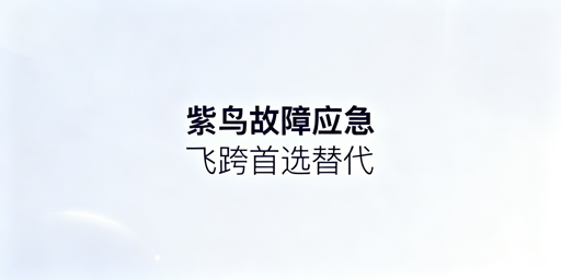 紫鸟浏览器故障:跨境卖家应急处理与替代方案指南