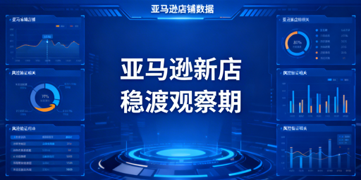 亚马逊新店观察期避坑指南：从注册到二审及工具推荐