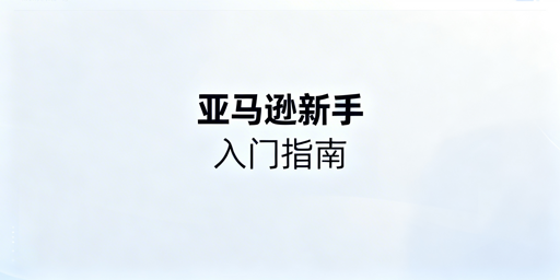 亚马逊新手开店运营入门：资料·流程·避坑·工具