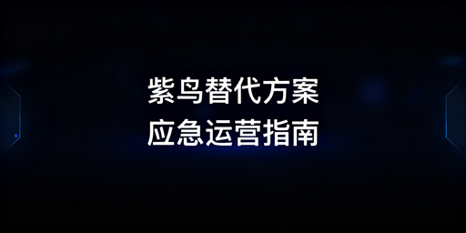 紫鸟浏览器故障：跨境电商替代工具及应急指南