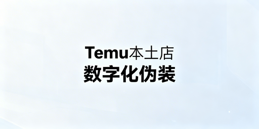 国内Temu海外本土店合规运营实操指南