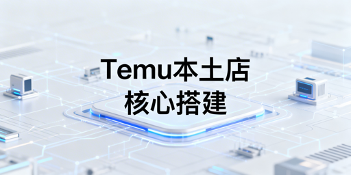 国内Temu本土店运营：风控规避核心环境搭建要点