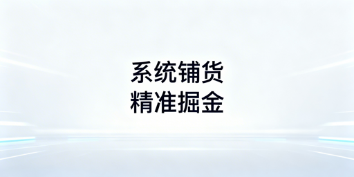 跨境电商大卖家系统化铺货:核心逻辑与全链路运营指南