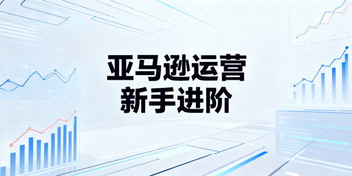 亚马逊新手卖家全流程运营指南与飞跨浏览器详解