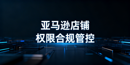 亚马逊店铺多人管理:安全权限分配实操指南