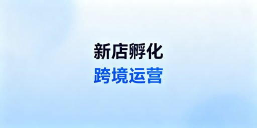 《跨境新店3个月孵化期运营实操与避坑指南》