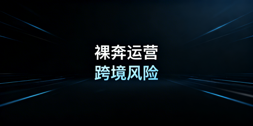 跨境电商专用浏览器：防关联降风险，优选飞跨