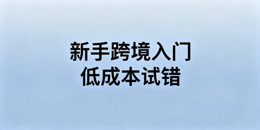 跨境电商新手30天极速入门实操避坑全指南