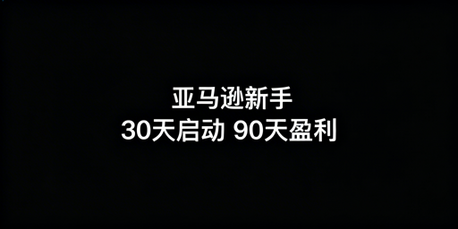 亚马逊新手卖家：30天启动+90天进阶盈利全指南