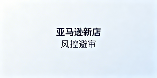 亚马逊新店铺：避开二审与风控实操全指南