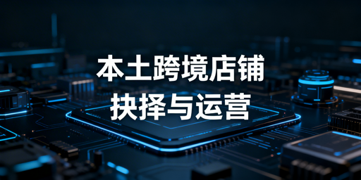 本土店vs跨境店:跨境电商选型指南及工具推荐