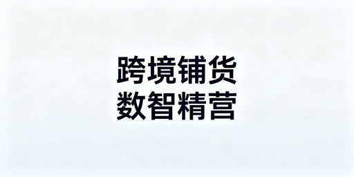 跨境电商大卖家系统化铺货：从ERP到精品转型