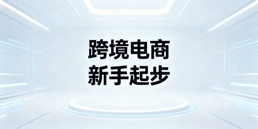 跨境电商新手快速起步全攻略：7天入门到出单