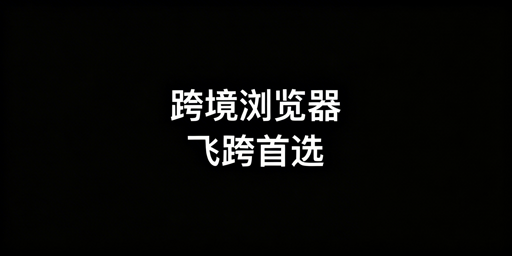 跨境电商浏览器与普通浏览器：差异解析及选择指南