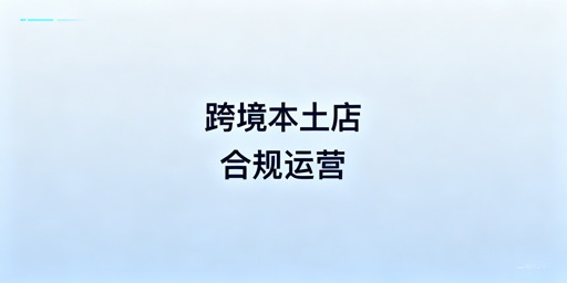 国内合规运营Temu海外本土店：核心要素与实操指南