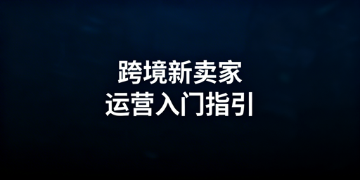 跨境新卖家新店运营全指南 快速上手少走弯路