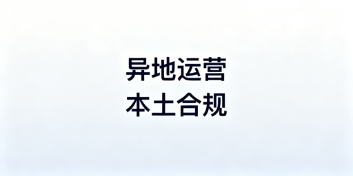 Lazada异地运营：规避平台风控的实操指南