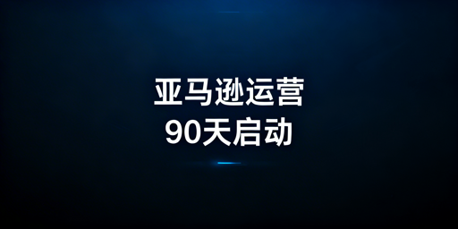 亚马逊新手90天运营落地全方案：少踩坑快出单