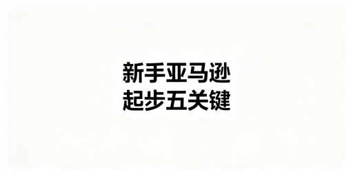 亚马逊新手快速起步：全模块落地准备指南