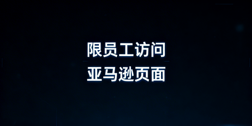 亚马逊店铺员工特定页面访问限制实操指南