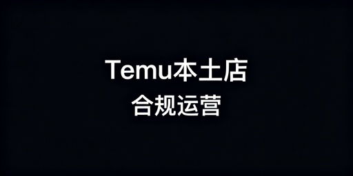 飞跨助力：国内Temu海外本土店合规运营
