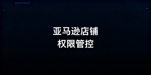 《多人管理亚马逊店铺：安全权限分配实操指南》
